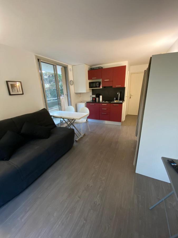 Studio Avec Terrasse, Vue Sur Jardin Lägenhet Nice Exteriör bild